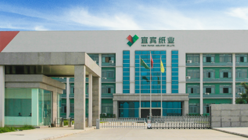 2025年新澳全年免費资料大全,人大代表建议调整养老金标准,前瞻性战略落实探讨_枚举版V9.52