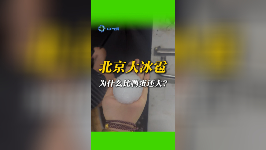 全网最爱发钱的老板回应作秀质疑,管家一肖一码100准免费资料,机构预测与落实方法揭秘_网红版V9.94